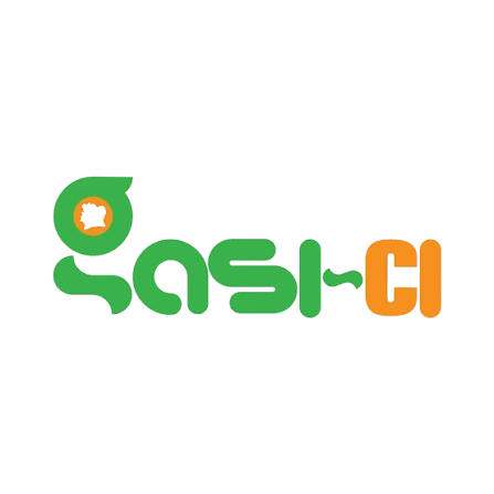 GASI International